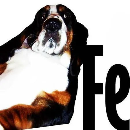 U Fera - Jasna דירה דמנובסקה דולינה